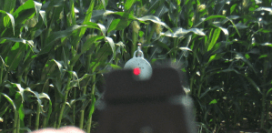 Sight Alignment Incorrect resized