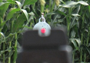 Sight Picture resized